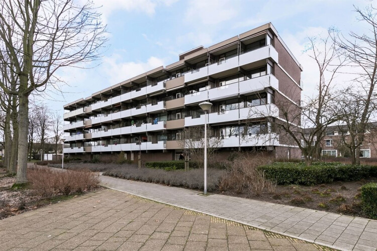Apartment for rent in Eindhoven Graaf Adolfstraat, Eliasterrein