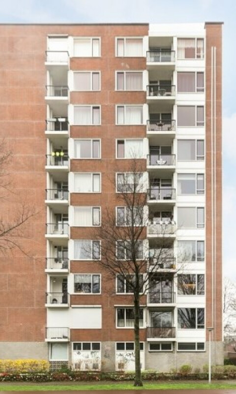 Pisanostraat