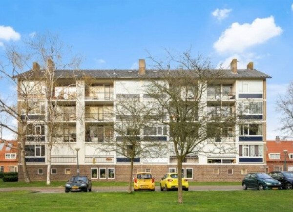 Simon van Leeuwenstraat